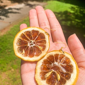 May include: A pair of earrings featuring dried orange slices with gold-colored hooks. The orange slices are translucent and show the seeds inside.