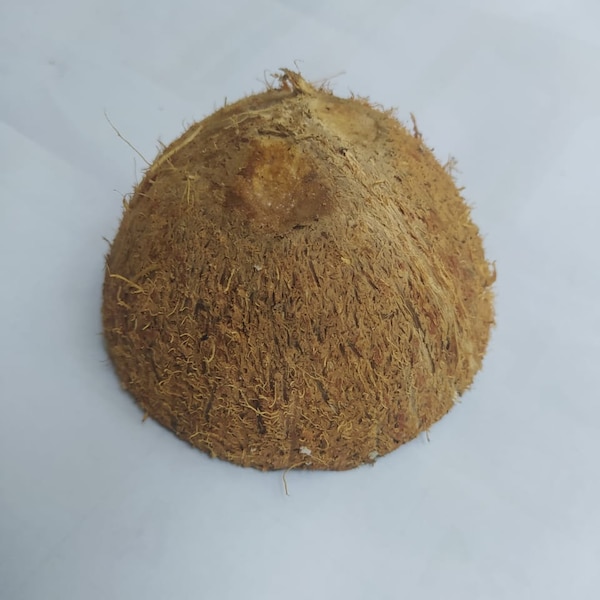 Ceylon Natural Coconut Shell