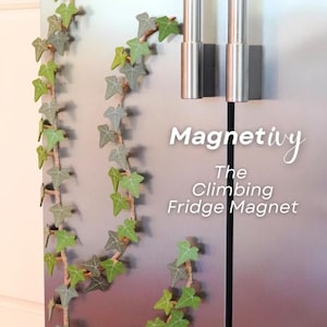 Customizable Magnet Ivy | English Ivy Fridge Decor with Poseable Vines by Vera&#39;s Arts & Dice