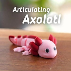 Axolotl articulé - Jouet flexible imprimé en 3D | Mignon animal de compagnie amphibien de bureau | Fait main par Vera&#39;s Arts & Dice
