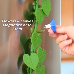 Customizable Morning Glory Magnet | Poseable Flower Vine for Fridge or Locker by Vera's Arts & Dice