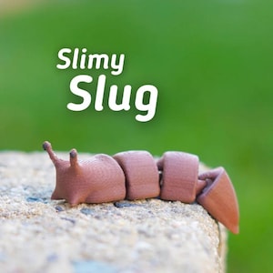 Slimy Slug – Articulated Wiggly 3D Printed Slug Toy | Fidget and Sensory Animal Figure | Design by Vera&#39;s Arts & Dice