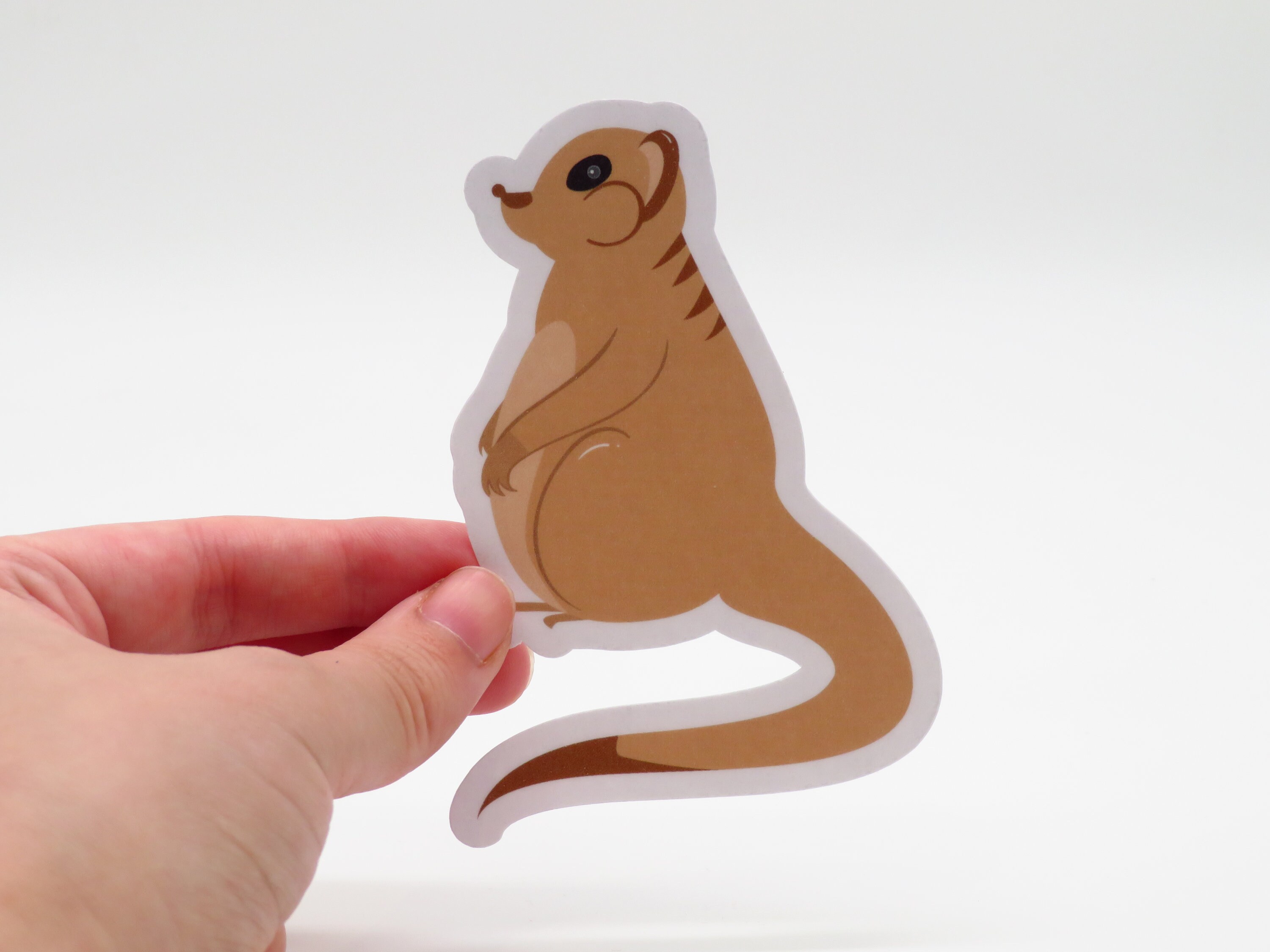 Muskrat Sticker Meerkat Sticker - Wild Animals Stickers || Laptop | Water Bottle ...