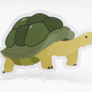 Adorable pegatina de tortuga para portátiles, botellas de agua, diarios, álbumes de recortes y amantes de la naturaleza.