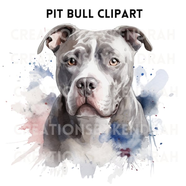 Watercolor Pit Bull Clip Art Instant Download Clipart Transparent Pit Bull PNG, SVG