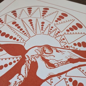 May include: A red and white print of an animal skull with a geometric pattern behind it. The skull is facing to the right and has a detailed design.