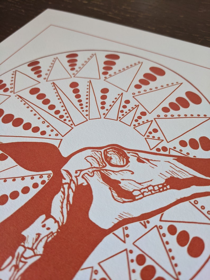 May include: A red and white print of an animal skull with a geometric pattern behind it. The skull is facing to the right and has a detailed design.