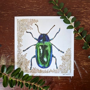 Dogbane Beetle 8x8 | Insect Art | Beetle Artwork | Interesting Art | Beautiful Minimalist Art | Nature Art Prints | Wall Decor