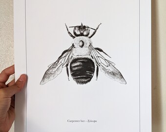 声優◆直筆サイン◆下野紘◆井上和彦◆旦那カタログ◆honey bee◆ 声優◇直筆サイン◇下野紘◇井上和彦◇旦那カタログ◇honey bee