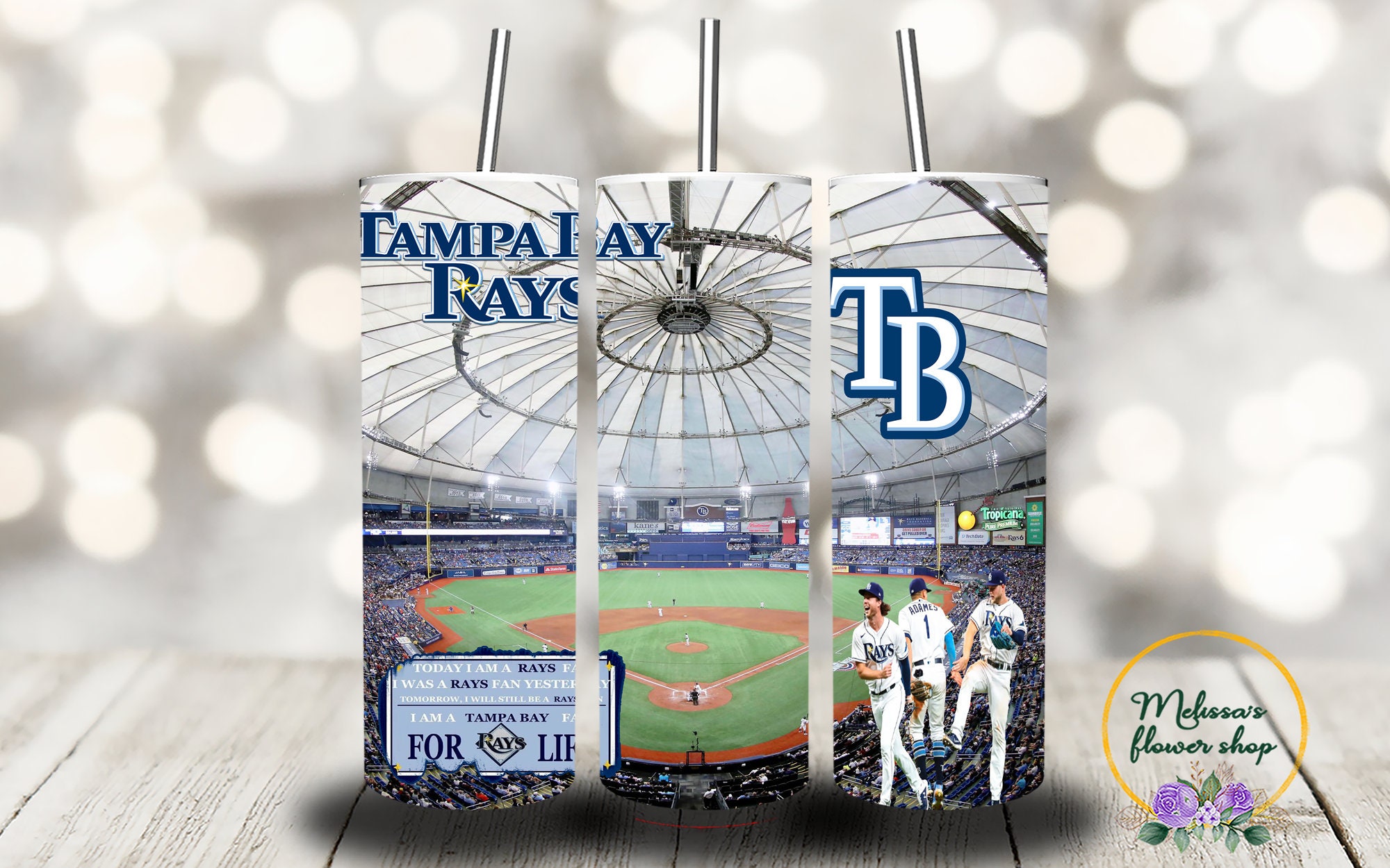 Tampa Bay Rays Tumbler 30 OZ Custom Rays Tumbler Baseball 