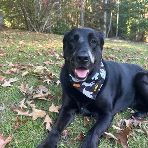 Halloween dog bandana
