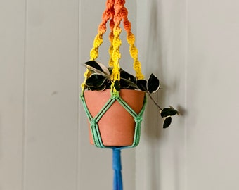 Rainbow Ombré Macramé Plant Hanger, Pride plant holder