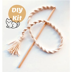 May include: DIY cat toy kit with a wooden dowel and a long, cream-colored, knotted rope with a tassel on one end. The rope is coiled around the dowel. The text "DIY Kit" is written in a circle on a yellow background.