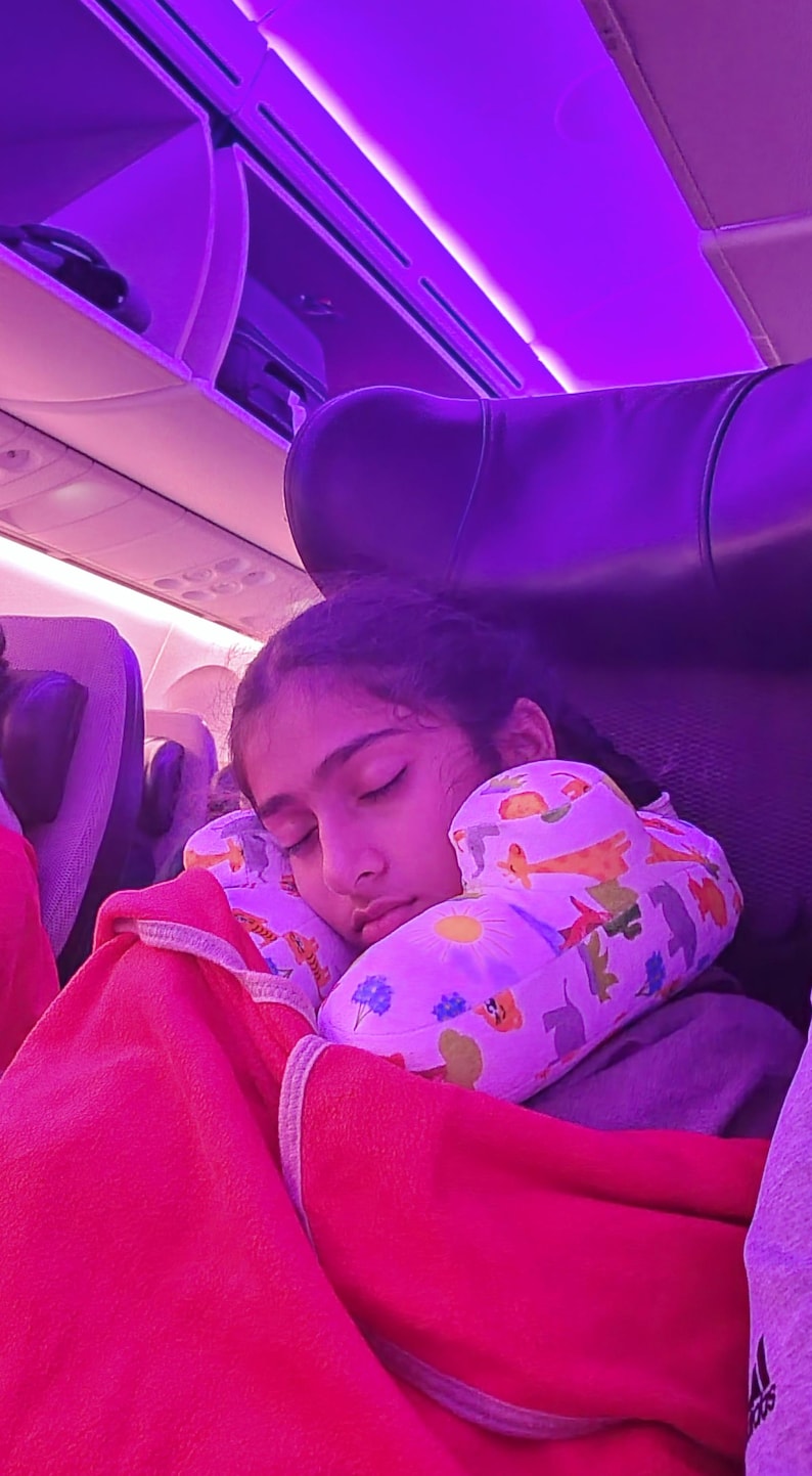 Sahara Nap Neck Pillow for Children / Child Car Pillow / Minky Soft Cushion / Travel Pillow / Plush / Kids Gifts / Carseat Accessory image 12