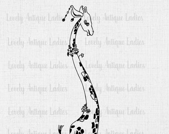 Giraffe Clipart Commercial Use Vintage Drawing Black and White PNG and JPG Images INSTANT Download
