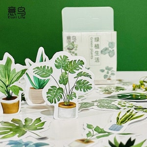 Pegatinas de plantas - Juego de 40