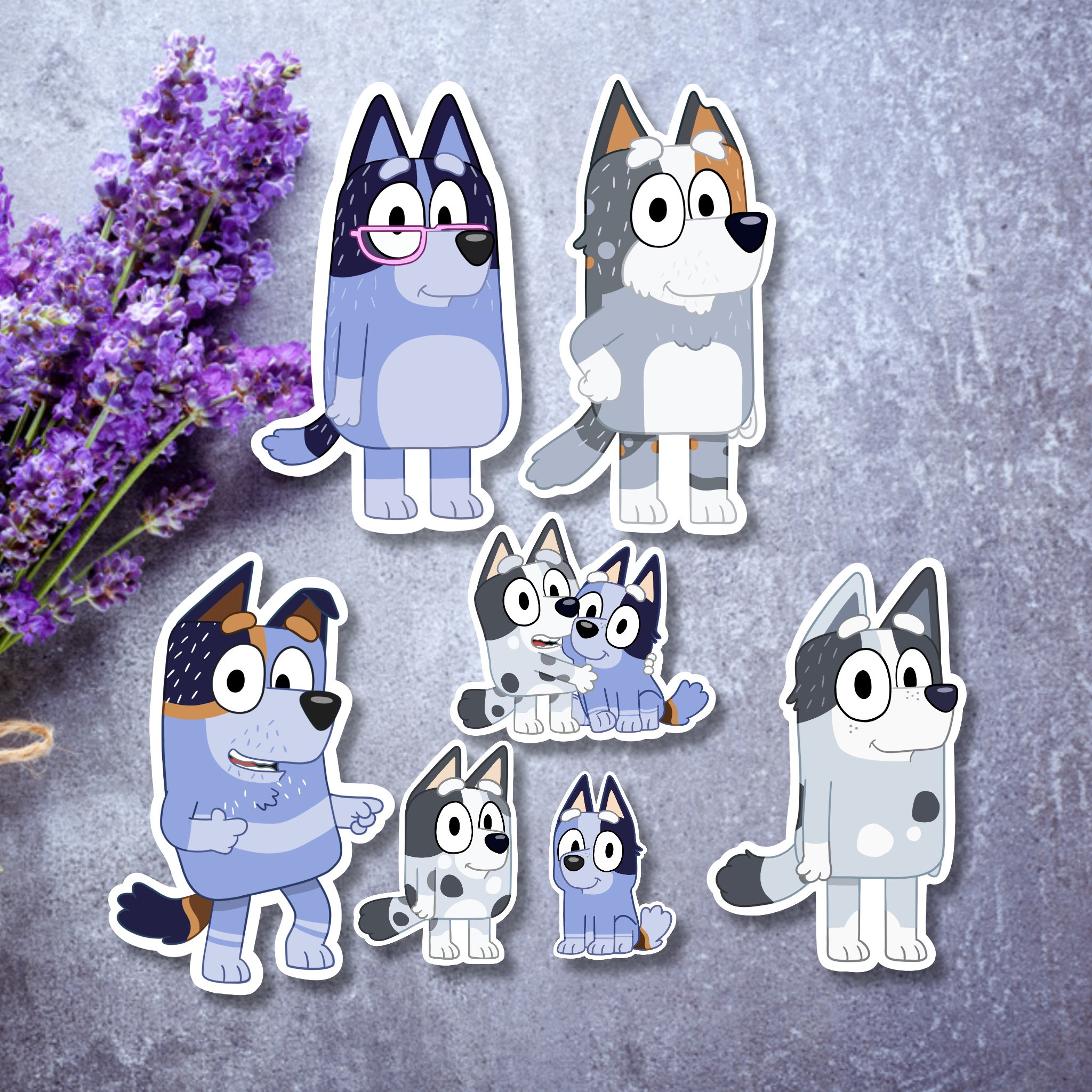 Heeler Dog Stickers Extended Heeler Family Socks Sticker Etsy Australia
