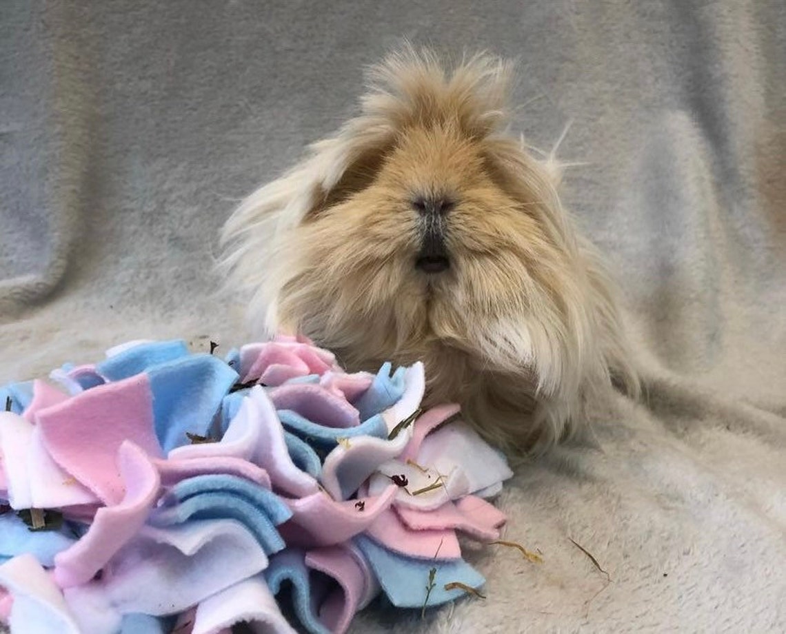 Mini Snuffle Mat Enrichment Rabbit Guinea Pigs Toys Etsy