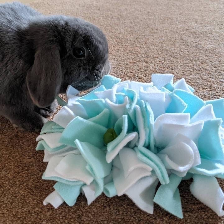 Mini Snuffle Mat Enrichment Rabbit Guinea Pigs Toys Etsy