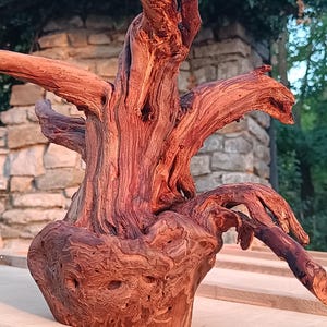 Könnte beinhalten: Handgefertigte, rotbraune Holzskulptur, die einem stilisierten Baum ähnelt. Die Skulptur weist komplizierte Details wie strukturierte Oberflächen, Knoten und Äste auf. Der Sockel ist abgerundet, und das Gesamtdesign ist organisch und natürlich.
