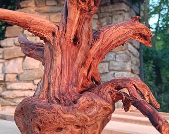 Souche de bois naturel, radice di pero naturale per creazioni artigianali, présentoir, mini tavolino...