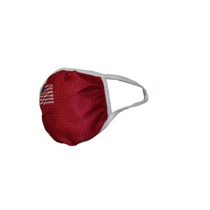 Washable Face Mask