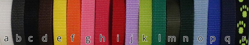 Nylon webbing, sold per meter image 3