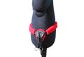 Hobbyhorse 2-in-1 sheepskin martingale, with side padding - multiple colors product logo
