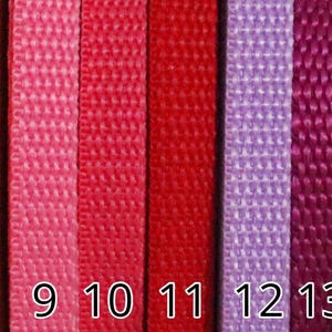 Nylon webbing, sold per meter image 2