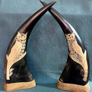 CHINESE BUFFALO HORNS with Hand-Carved Owls Motif 12 Inches High Pair Set of Two 2