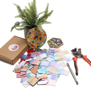 Pu&ograve; includere: Un kit di mosaico con una variet&agrave; di tessere di vetro colorate, un paio di tagliavetro e due progetti di mosaico completati. Il kit include una base in legno per i progetti di mosaico e una piccola pianta in vaso.