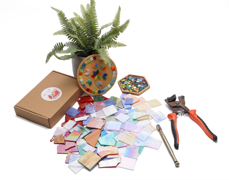 Pu&ograve; includere: Un kit di mosaico con una variet&agrave; di tessere di vetro colorate, un paio di tagliavetro e due progetti di mosaico completati. Il kit include una base in legno per i progetti di mosaico e una piccola pianta in vaso.
