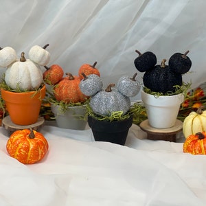 Könnte beinhalten: Eine Sammlung dekorativer Kürbisse in verschiedenen Farben, darunter Orange, Weiß, Silber und Schwarz. Jeder Kürbis hat ein Mickey Mouse-inspiriertes Design und befindet sich in einem kleinen Topf. Die Kürbisse sind auf einer weißen Oberfläche mit floralen Akzenten angeordnet.