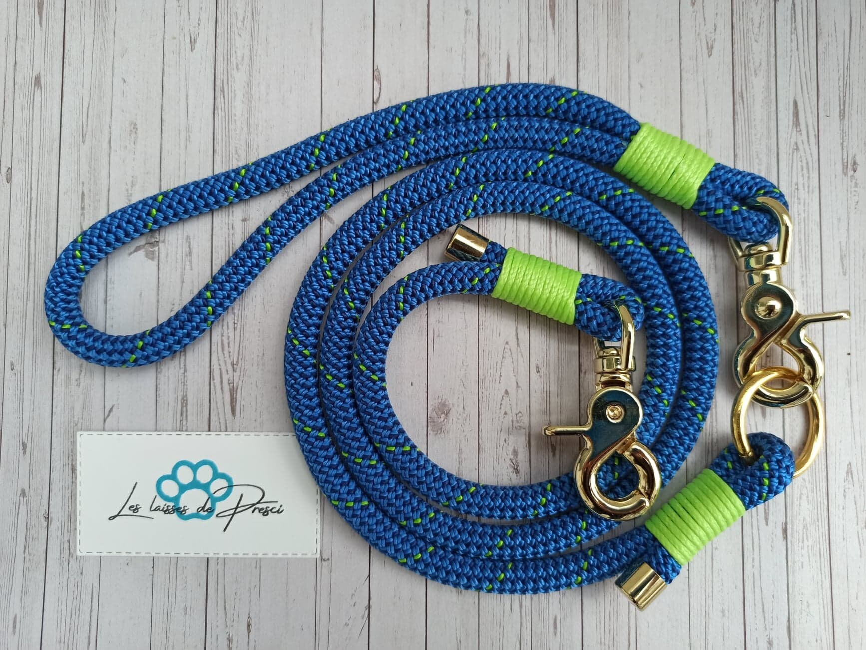Ensemble Modu'laisse Oslo, Laisse Chien, Chien Corde, Paracorde, Poignée Interchangeable, Dog Leash