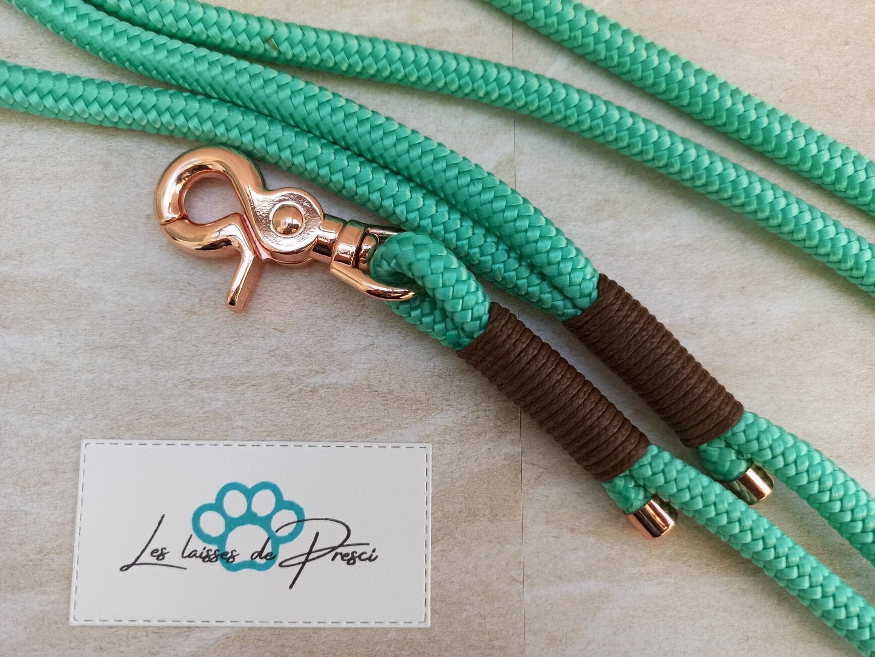 Classic'laisse 10, Laisse Pour Chien en Corde, Paracord Dog Leash, Chien, Promenade, Balade, Choco-M