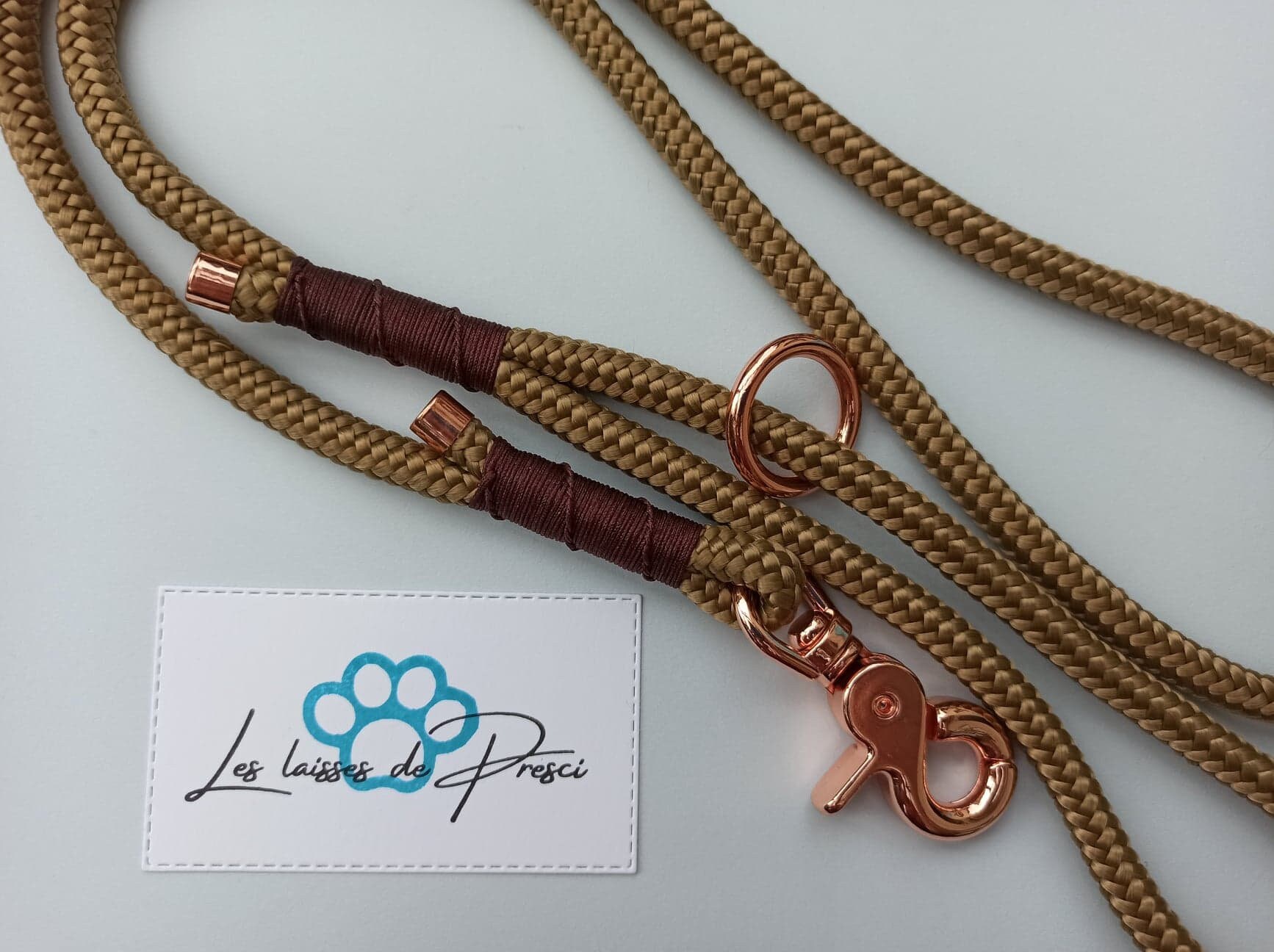 Classic'laisse 120, Laisse Pour Chien en Corde, Paracord Dog Leash, Chien, Promenade, Balade, Savana