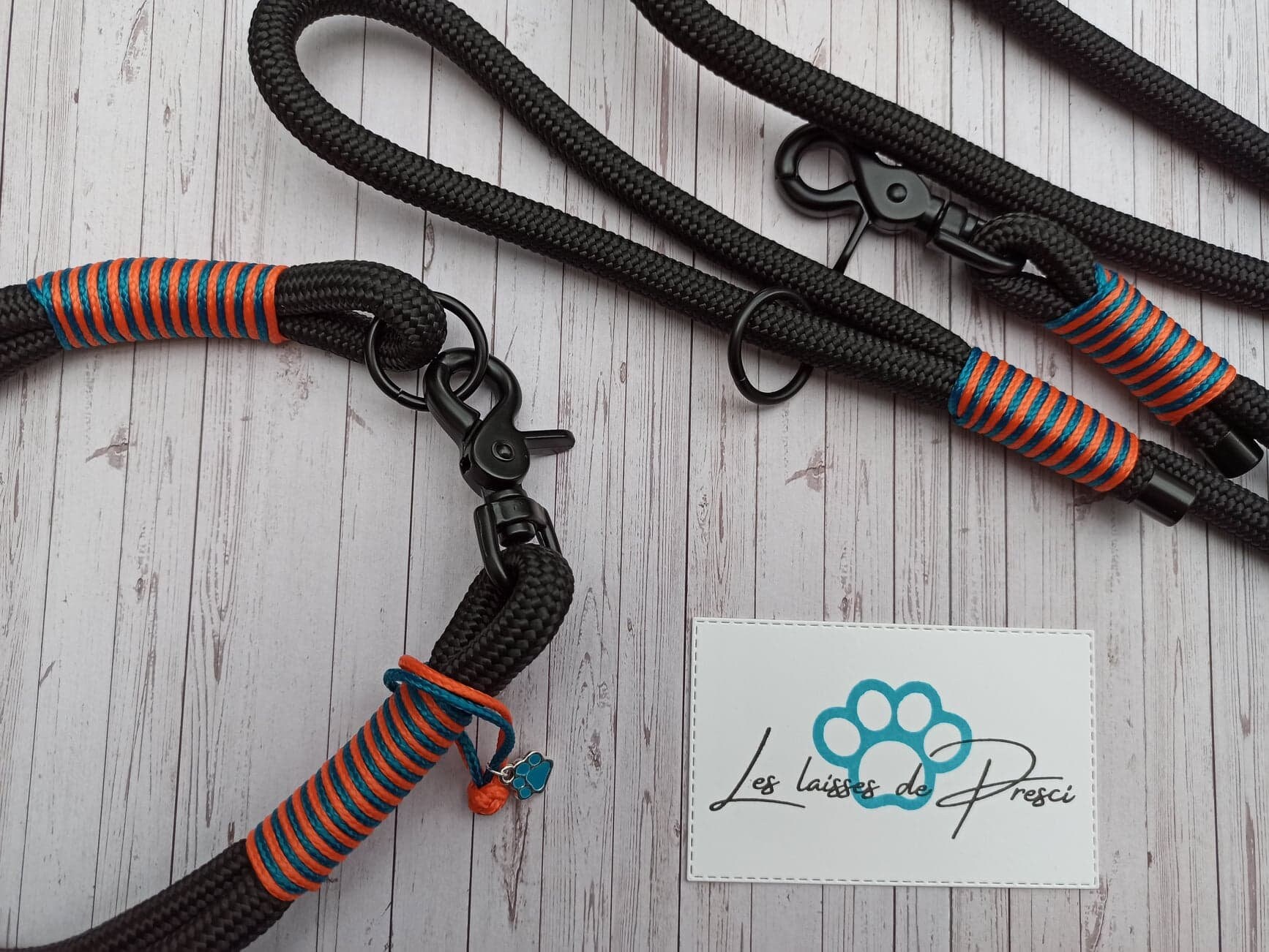 Ensemble Classic'laisse 150 et Collier Assorti, Laisse Pour Chien en Corde, Paracord Dog Leash, Chie