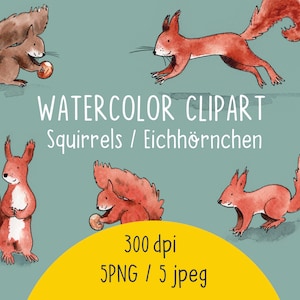 CLIPART AQUARELLE, ensemble de cliparts d’écureuil, téléchargement d’écureuil, images d’écureuil
