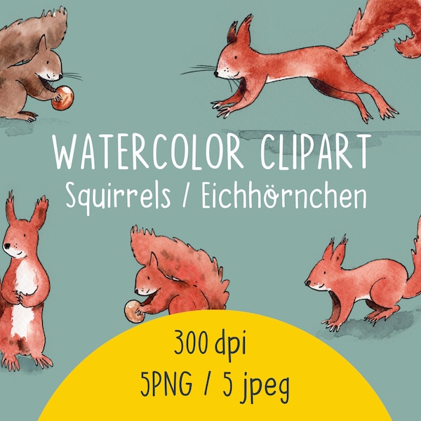 AQUARELL CLIPART, Eichhörnchen-Clipart-Set, Eichhörnchen zum Downloaden, Eichhörnchen Bilder