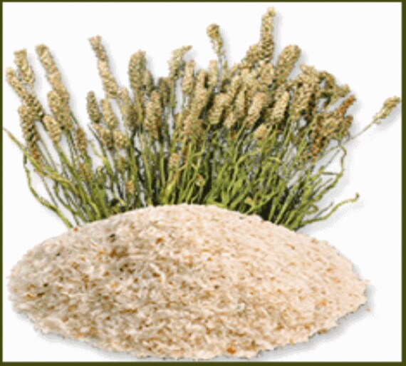 Psyllium husk powder etsy