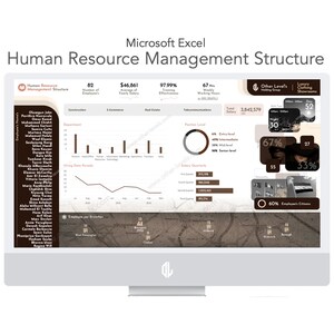 Op de afbeelding: Een computerscherm dat een Microsoft Excel-spreadsheet weergeeft met een bruin en wit kleurenschema. De spreadsheet toont gegevens met betrekking tot human resource management, waaronder personeelsinformatie, wervingsgegevens en salarisinformatie. De spreadsheet bevat ook grafieken en diagrammen.