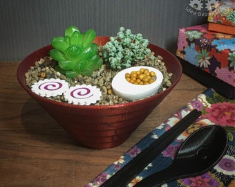 Custom Made Succulent Pot - FULL Ramen Bowl Kit
