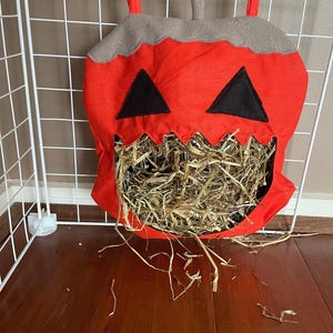 Special hay bags halloween  gift for small animals, guinea pig, rabbits, etc.