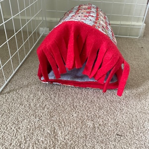 Fun Tunnel for Guinea Pig, Chinchilla, Hedgehog, Rabbit and other Small Animal