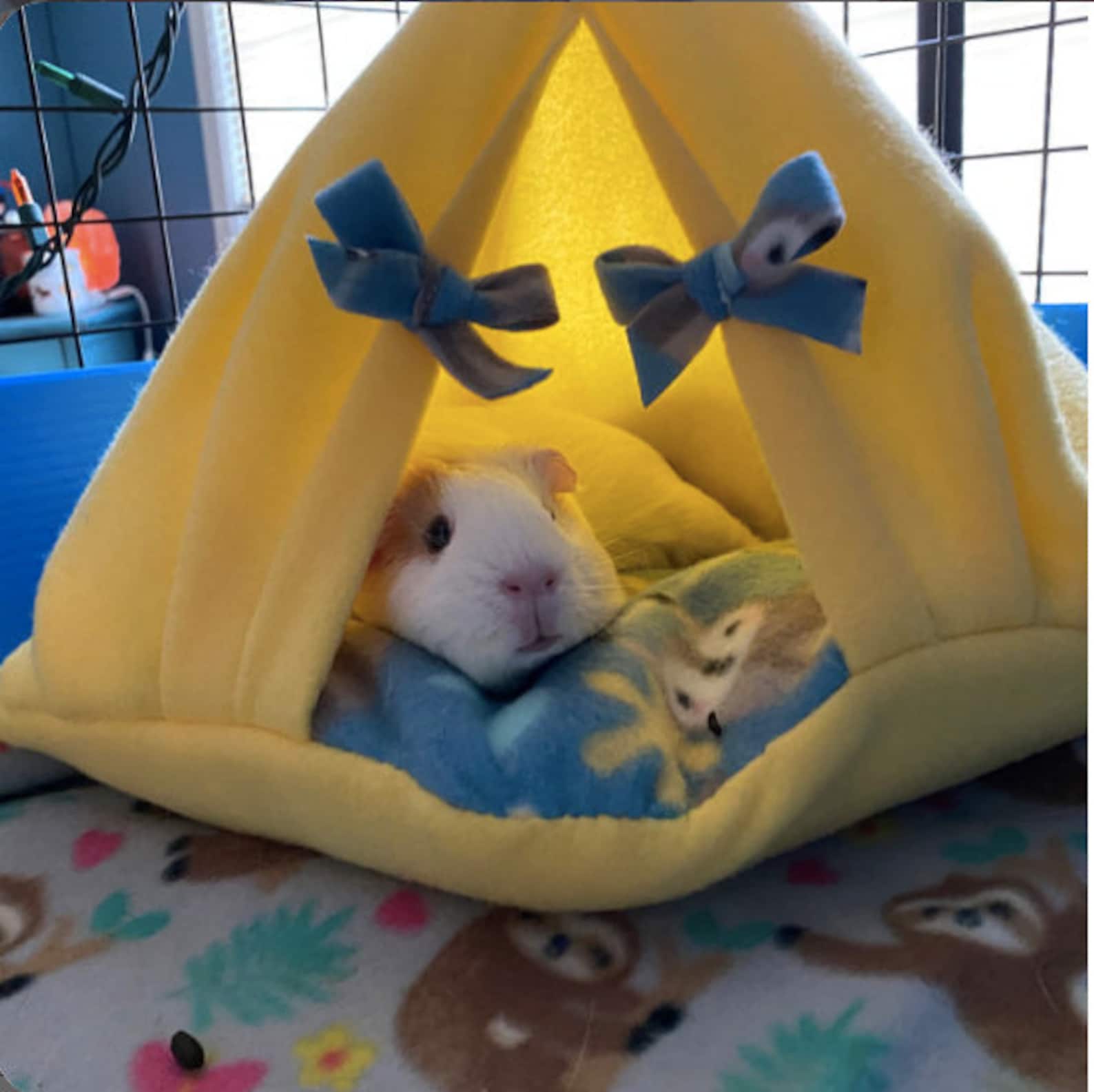 Teepee Tent Hut Hidey Fleece Cozy Sugar Glider Chinchilla Etsy