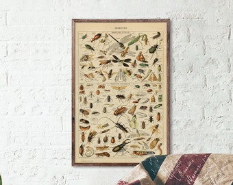 Antique Home Office Wall Decor Vintage Insert Hanging Canvas Art Poster
