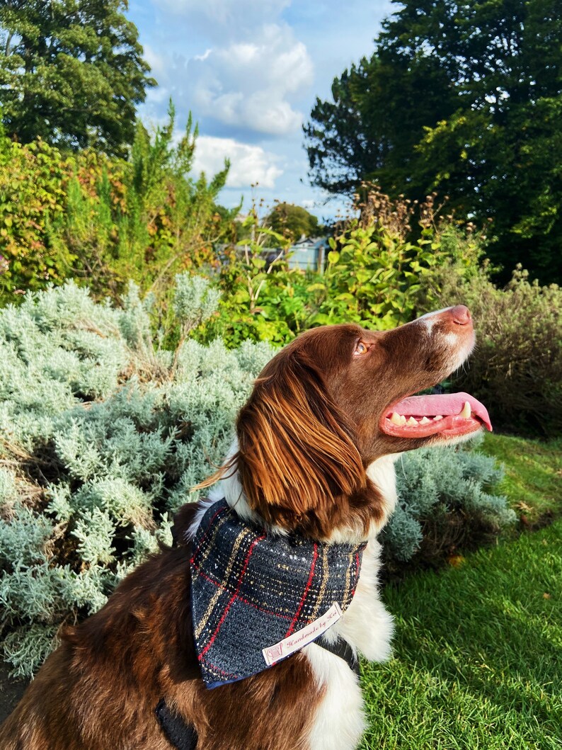 Tartan Dog Bandana