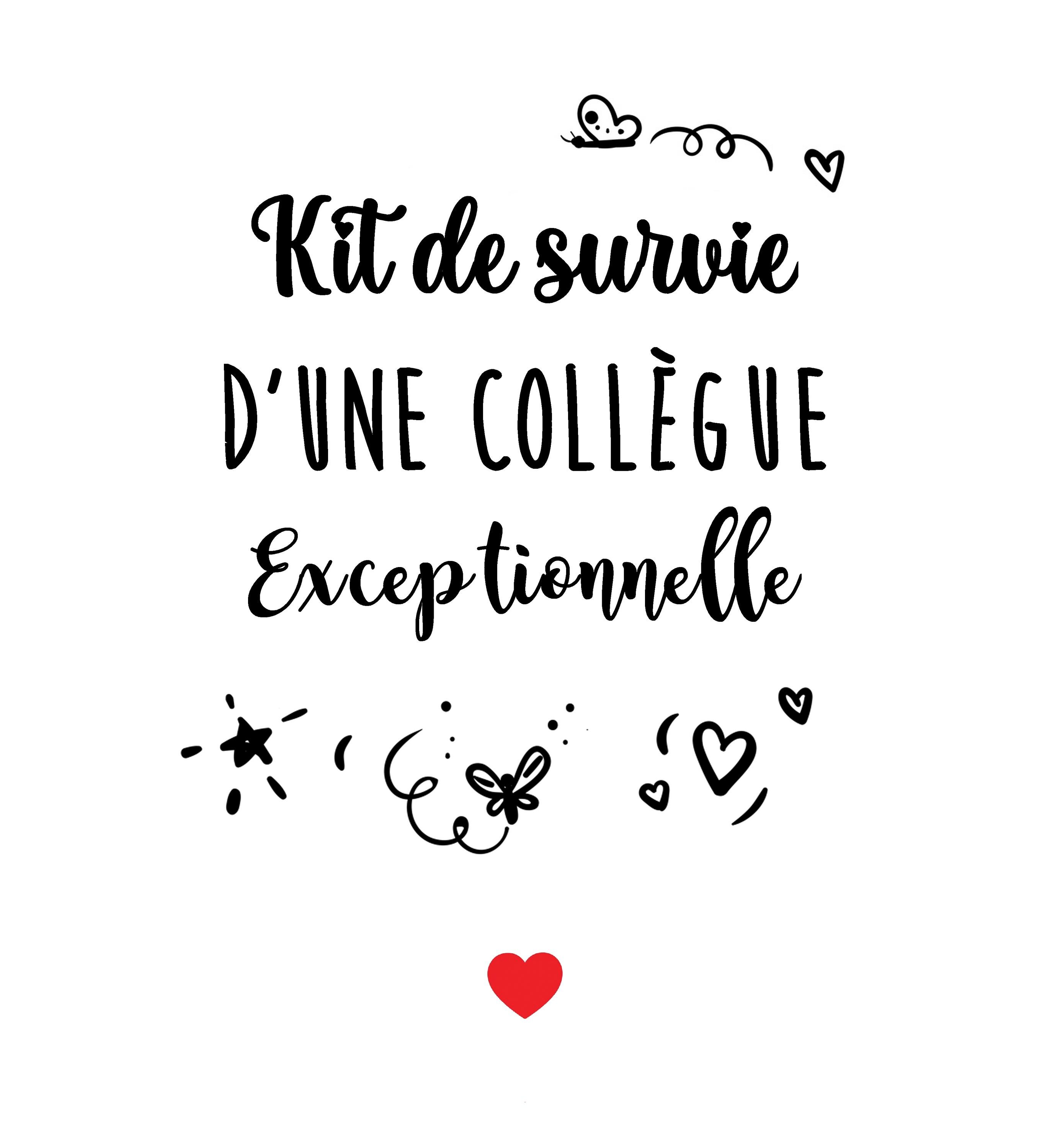 Coffret Cadeau De 5 Articles Pour Collègue Femme - Trousse De Maquillage, Sac En Toile, Porte-clés, Carte, Enveloppe - Pour Départ, Retraite, Remerciement