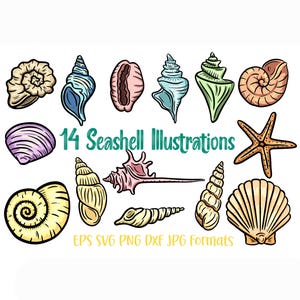 14 Seashell Shell Illustration SVG Logo Sticker Designs PNG Hand Drawn Logo