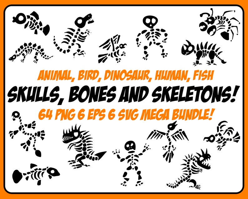 Download 64 PNG 6 SVG 6 EPS Bird Dinosaur Animal Skulls Skeleton | Etsy